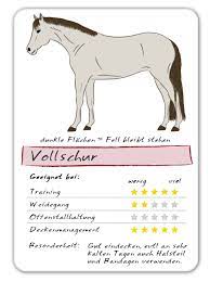 Ich persönlich halte mich an die zehn grad und decke sie erstmal nur über nacht ein. Pferde Scheren Der Reitsport Blog