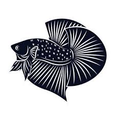 Berikut ini adalah jenis ikan cupang plakat yang paling banyak diminati para penghobi ikan cupang beserta sedikit gambaran, jenis dan harganya. 14 Ide Mentahan Cupang Ikan Cupang Ikan Seni Ikan