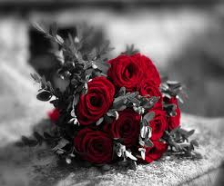 Delhi Metro Office Color Splash Photo Spring Roses Flowers For You