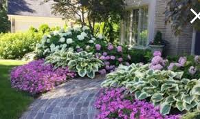 These Hydrangeas And Hostas Complement Each Other Beautifully Front Yard Landscaping Design Landscaping Inspiration Hydrangea Landscaping