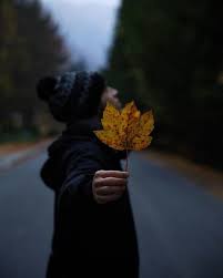 8.cand trecem pragul lui septembrie 9.toamnă este un tablou de arta, natural si care este nesfârsit. 67 Fotografii De ToamnÄƒ Superbe F64 Blog