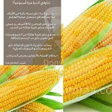 تناولي الذرة مرة أسبوعيا هي نصيحة دنيا امرأة لكي اليوم الذرة فوائد دنيا امرأة انستجرام انستغرام انستقرامي كويت كويتيات كويتي corn vegetables b12