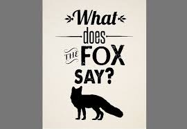 The Fox What Does The Fox Say By Ylvis Every Day My Friend Bella And I Always Shout What Does Th Fox Say At Lunch To See How Many People Reply Lol Fox Quotes Sayings Typography Quotes