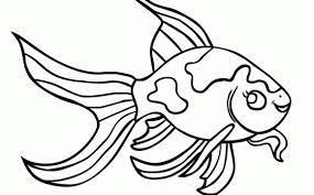 If you cannot see a particular part on one fish, be sure to color it on the second fish. Betta Fish Coloring Pages Vang Bettas