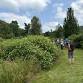 Tour Mountain Top Arboretum