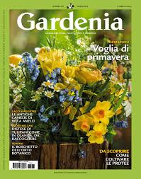 Ne esitono varie specie, alcune delle quali commestibili. Gardenia N407 By Lidia Montermini Issuu
