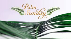 Apr 07, 2020 · it is unlikely that simon ever imagined that this forced act of service would be discussed and admired over 2,000 years later. Happy Palm Sunday 2020 Hd Images And Wallpapers For Free Download Online Whatsapp Messages Gifs Bible Quotes Sms Greetings To Wish On First Day Of Holy Week Latestly