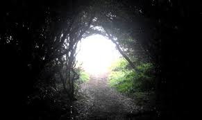 Step Into The Light
