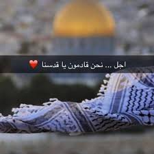 عبارات عن فلسطين 