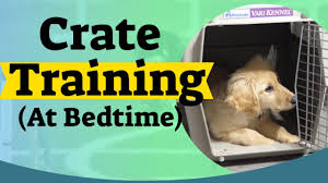 Some dogs will sleep more due to of boredom. How To Crate Train A Puppy At Night Crate Training For Puppies Youtube
