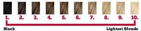 Pin On Cosmetology Charts Reference Tools
