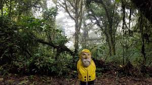 Check spelling or type a new query. Monteverde Cloud Forest Biological Reserve Private Sanctuary For Biodiversity The Costa Rica News
