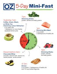 We did not find results for: A Sample 5 Day Mini Fast Meal Plan The Dr Oz Show