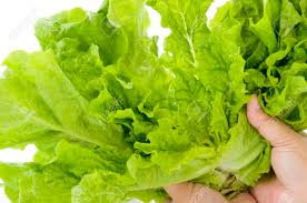 If you've never tasted the flavors of bulgogi, a korean beef dish that inspired these lettuce wraps, you're in for a real treat. Celtuce Stem Lettuce Korean Lettuce Yakiniku Lettuce Called Sanche Stock Photo Picture And Royalty Free Image Image 89986126