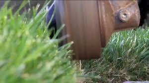 Homeguide » ca » vacaville » lawn care services. Lawn Care Fairfield Ca Lawn Care Vacaville Ca