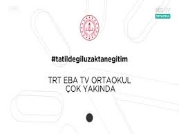 Consults, labs, physical & medications all included. Search Results For Kingofsat