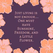 Pilot Quotes Goodreads Quotes Quotemotion Com