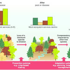 Pests are a terrifyingly common part of urban living, but not all cities are equally affected. Pdf The Consequence Of Tree Pests And Diseases For Ecosystem Services