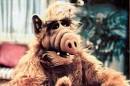 ALF (TV Series 19861990) -