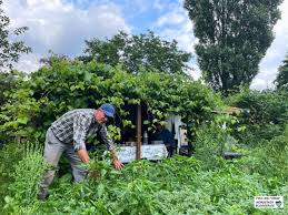 We did not find results for: Dem Ungewohnlichsten Gartenverein Dortmunds Droht Das Aus Der Gemusegarten Verein Soll Sporthallen Weichen Nordstadtblogger