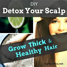 Learn how to get long hair, thick hair, healthy hair & super long hair. 7 Ways To Detox Your Scalp Grow Thick And Healthy Hair Hair Buddha