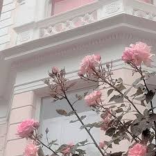 Pink Blue Pastel Flowers Aesthetic Pink Aesthetic Pastel Aesthetic Flower Aesthetic