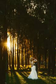 Margan Wines Hunter Valley Wedding Hunter Valley Wedding Wedding Wedding Reception Venues