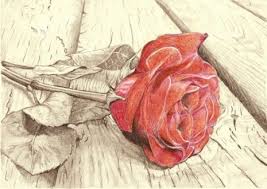Pin On Princesas
