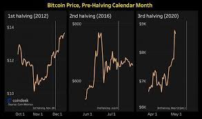 Halvings have proven to be very bullish for bitcoin in the past, will history repeat itself? Another Chronology The Charts Show Btc Price One Month Before Halving In 2012 2016 And 2020 It Showed Stable Growth For A Year And A Half After Halving Bitcoin