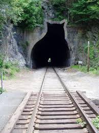 The Cat Train Crazy Cats Cats Cat Tunnel