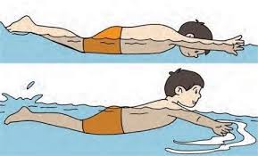 Wow 30 Gambar Olahraga Renang Kartun Seperti Animasi Horor Animasi Minuman Dan Makanan Dan Masih Banyak Lagi Animasi Yan Di 2020 Kartun Shaun The Sheep Olahraga Lucu