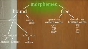 Grammatical morphemes have a job rather than a meaning. What Are English Morphemes And Why Do They Matter For Spelling Spelfabet