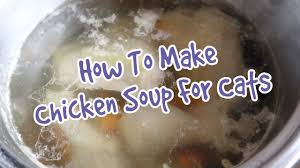 Check the pot occasionally, skimming off any foam that collects on the surface and adding additional water. How To Make Homemade Chicken Soup For Cats Chicken Broth For Cats Recipe Youtube
