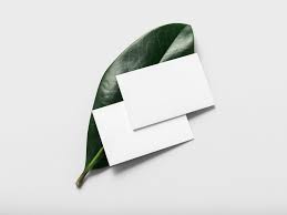 Business card holder mockup is a set of 8 professional mockups on a studio background, created with a 3d model of business card holder. Free Business Card With Plant Leaf Mockup Psd Psfiles