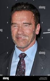 Arnold Sutton's Instagram, Twitter & Facebook