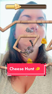 #cheesehunt #bam #cheese #hunt #game #games #nose #mouse #17 #fyp #foryou  #challenge #challenges #filter #maze #beatme #beatthis #iwin #whoohoo  #foryoupage #trend #trending