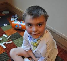 PRISMS 2012 Annual Report