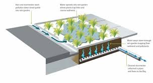 Small Urban Space Rain Gardens Save The Harbor Rain Garden Urban Garden Urban Spaces