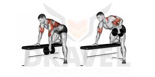 Les personnes qui travaillent principalement en position assise ou avec des charges, ont de fortes probabilités de présenter des douleurs dorsales, pour cette raison les exercices pour détendre le dos sont d'une grande importance. Le Top 5 De Meilleurs Exercices Pour Le Dos Dravel
