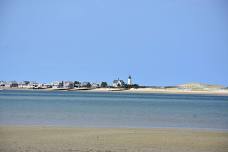 Tidal Flat to Table Oyster Tour