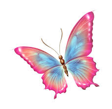 The resolution of this transparent background is 840x859 and size of 490 kb. Pink Butterfly Transparent Image Png Arts