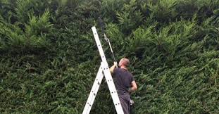 We did not find results for: Can I Use The Titan 25 4cc Petrol Landscaping Multi Tool For My Gardening Business Hankintech