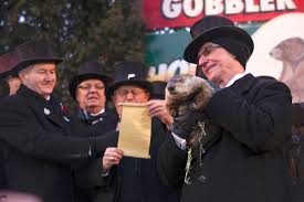 I have counted around five separate holes in the wall and have tried to smoke them out with around 5 separate smoke grenades, bu. How Accurate Is Punxsutawney Phil Human World Earthsky
