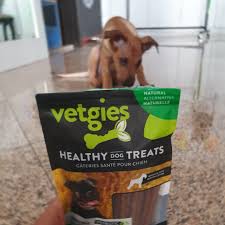 Both dx11 and dx12 apis were used . Vetgies Healthy Dog Treats Reviews Abillion