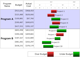 Project Portfolio Budget Report Onepager Express