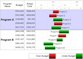 project portfolio budget report onepager express