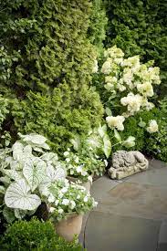 Patio And Garden Designed By Mary Kirk Menefee Installed By Merrifield Garden Center Landscaping Around House Townhouse Garden Garden Inspiration