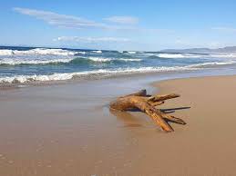 V tomto případě se musí nahlásit místnímu zdravotnickému zařízení asl. Apartman Sardinie Sardiniebydleni Cz Home Office Na Sardinii Apartman