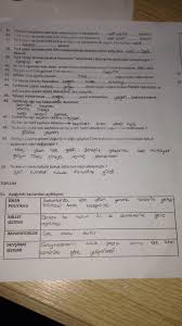 tarih notlari 11 sinif ders programlari egitim felsefesi ders calisma ipuclari