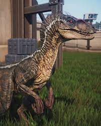 The velocirraptor was probably the star of the first jurassic park movie, the most remarkable dinosaur, and the one with the most impressive scenes, like the ending scene at the visitor's center. Jurassic Park 3 Raptors Are Really Interesting Jurassicpark3 Jurassicworlddomion Velociraptor Jurassic Park Blue Jurassic World Jurassic Park World